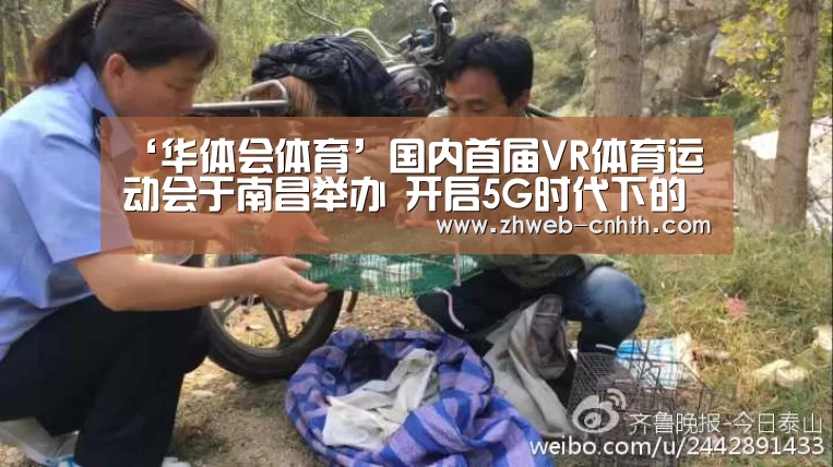 ‘华体会体育’国内首届VR体育运动会于南昌举办 开启5G时代下的体育竞技新业态(图1) 华体会体育