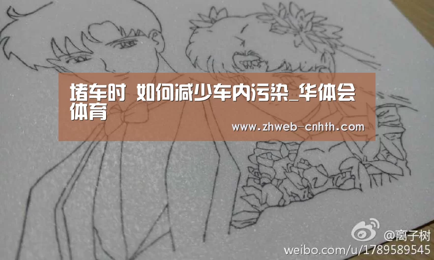 堵车时 如何减少车内污染_华体会体育(图2) 华体会体育