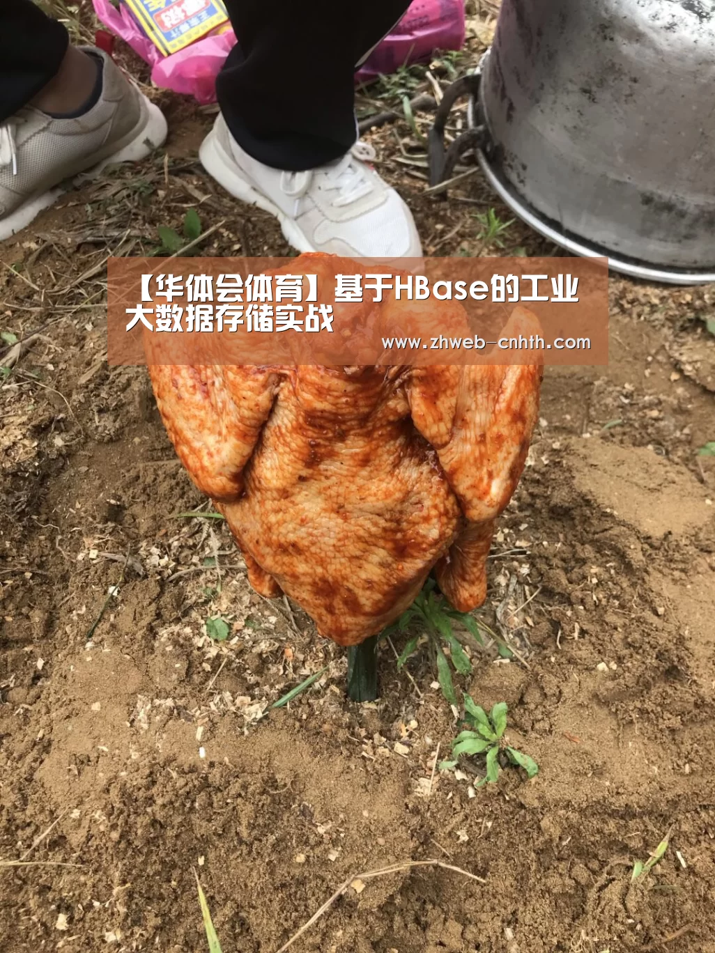 华体会体育