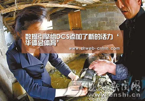 数据引擎给DCS添加了新的活力‘华体会体育’(图1) 华体会体育